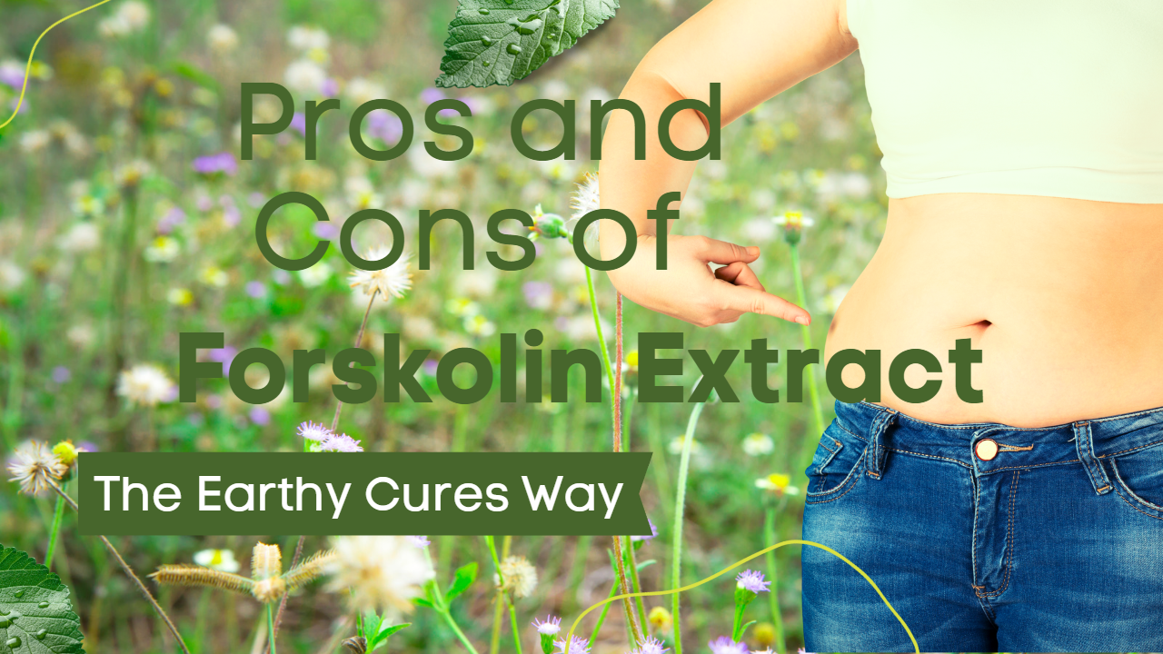 Forskolin Extract Pros And Cons Earthy Cures 2141