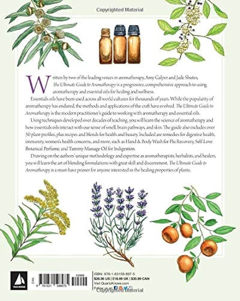 6 Essential Oils: The Ultimate Guide To Aromatherapys Healing Power