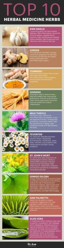 8 Mind-Blowing Herbal Remedies Every Health Enthusiast Should Know