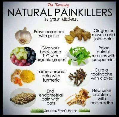 The Introduction to Natural Pain Remedies